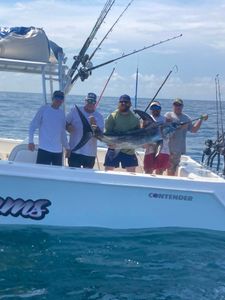 Angler with blue marlin fish in Alabama