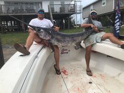 A fisherman holding a large blue marlin caught at Dauphin Island