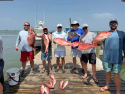 4 fish caught during fishing trip at Dauphin Island