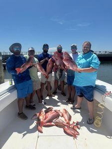 6 people fishing on the beach at Dauphin Island