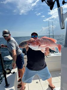 A grey snapper, a 24-inch fish, caught while fishing in Dauphin Island