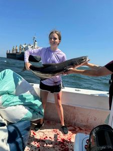 Cobia fish caught fishing in AL