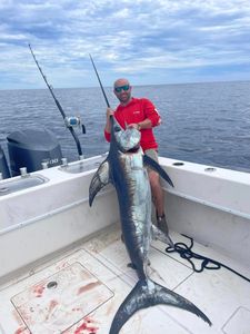 Swordfish caught in AL fishing