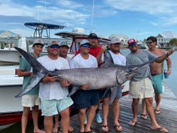 A swordfish caught during a fishing trip on Dauphin Island