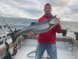Chinook Salmon Lake Ontario