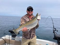 Brown Trout Fishing Lake Ontario