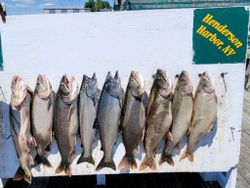 Lake Trout Salmon Ontario 2022