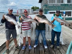 Walleye Trout Salmon Ontario 2022