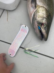 Hooked In Lake Ontario Fishing 