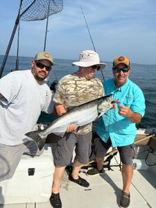 Chinook salmon caught while fishing in Ogdensburg