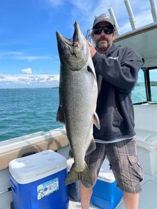 Chinook Salmon, 34 inches, caught while fishing in Ogdensburg