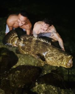 Angler fishing in Miami Beach