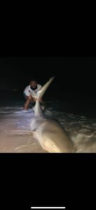 Angler fishing in Florida