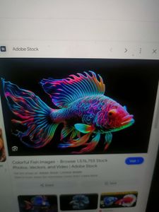 Colorful fish with vibrant rainbow fins and flowing tail displayed against dark background