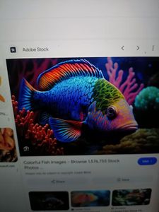 Colorful tropical fish swimming near coral reef underwater