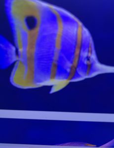 Great fishing adventure in Florida City