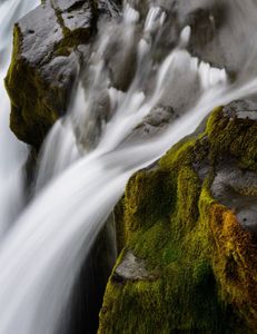 Scenic Florida landscape with outdoor adventure activities