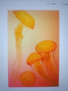 Orange jellyfish floating underwater with trailing tentacles in warm-toned aquatic environment