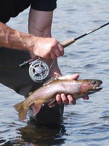 Rainbow trout fishing in OR