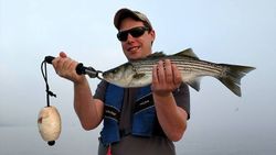 Striped bass Fishing In New Bern, NC