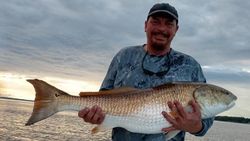 Angler holding a 30-inch redfish in New Bern