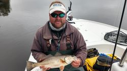 A photo of a black drum fish caught in NC