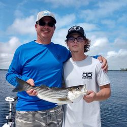 Striped bass caught in NC while fishing
