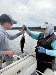 Nice catch on light tackle in these clear conditions!