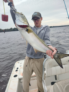 Great catch using light tackle in New Bern! Clear conditions made for an exciting adventure on the water.