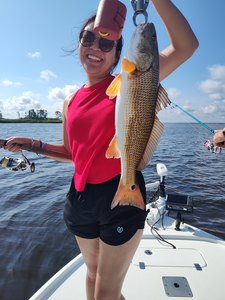 Reeled in this feisty Redfish with some light tackle in New Bern!