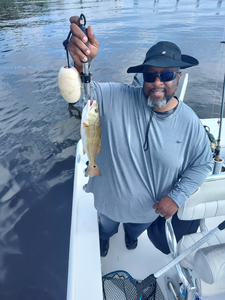 Light tackle triumph: Redfish hooked under partly cloudy skies in New Bern!