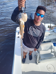 Reeling in redfish with finesse on a partly cloudy day in New Bern!
