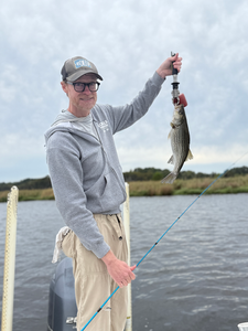Nice striped bass on light tackle today! Clear conditions made for an exciting adventure.