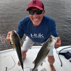 Two striped bass caught while fishing in NC