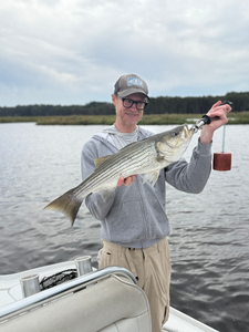 Nice striped bass on light tackle in New Bern! Clear conditions made for an exciting day on the water.