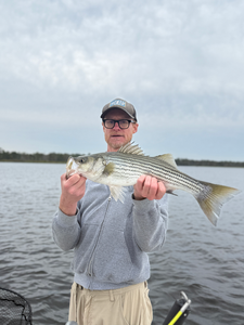 Nice striped bass on light tackle today!