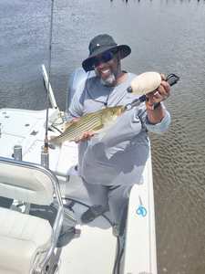 Tight lines and light tackle: the perfect recipe for striped bass action!