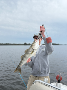 Nice striped bass on light tackle in New Bern! Clear conditions made for an exciting adventure.