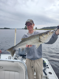 Nice striped bass on light tackle in New Bern! Clear conditions made for an exciting adventure.
