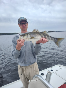Nice striped bass on light tackle! Clear conditions made for an exciting adventure.