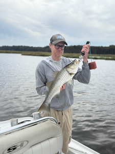 Nice striped bass on light tackle in clear conditions!