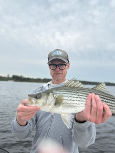 Nice striped bass on light tackle in New Bern! Clear conditions made for an exciting adventure.