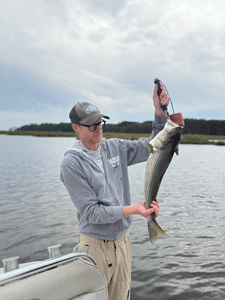 Nice striped bass on light tackle in New Bern! Clear conditions made for an exciting adventure.