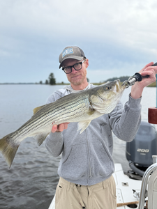 Nice striped bass on light tackle! Clear conditions made for an exciting adventure.