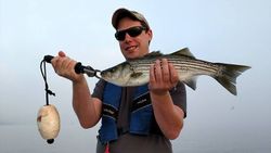 Striped bass catch in New Bern