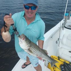 Striped bass caught in New Bern