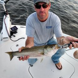 Striped bass caught while fishing in New Bern