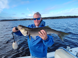 Huge 71-inch striped bass reeled in with finesse!