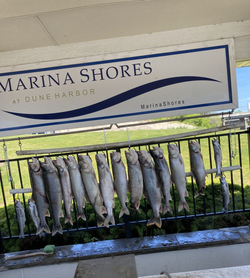 11 fish caught during cruises and fishing in East Chicago