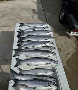 8 fish caught on cruises and fishing trip in East Chicago